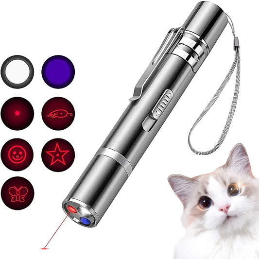 Laser pointer for Pet Training and Exercise