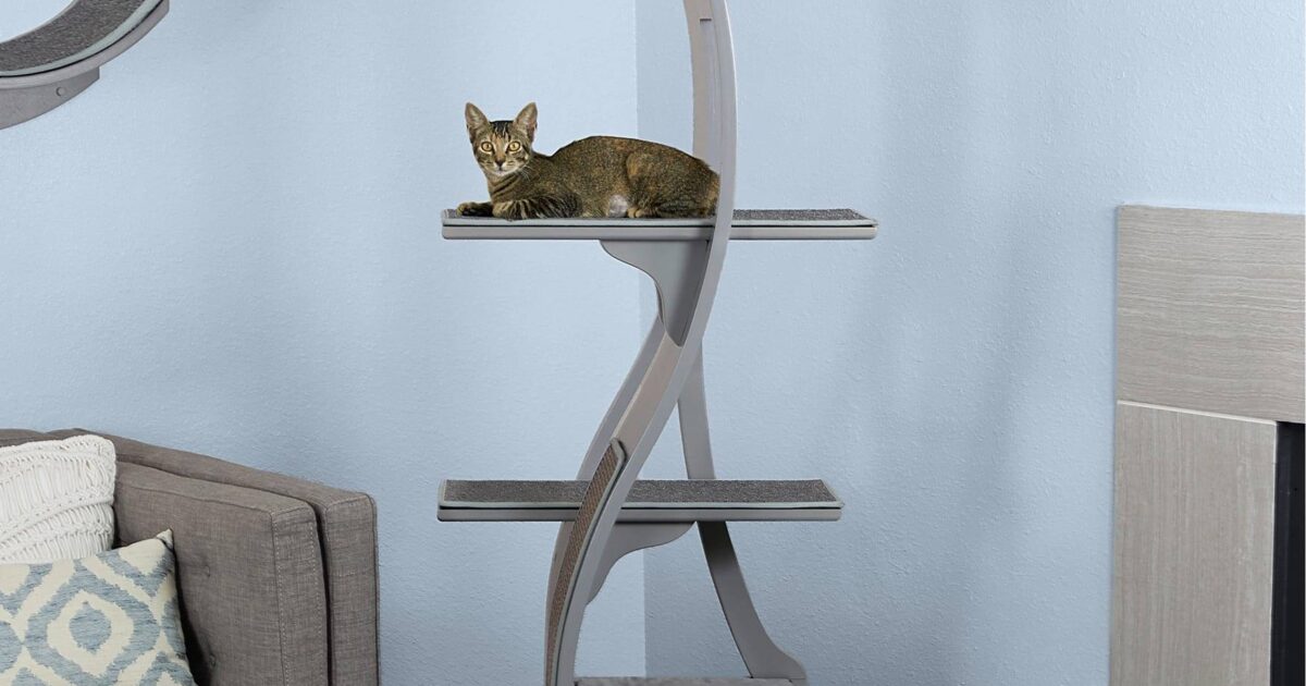 Modern cat furniture